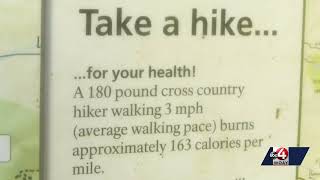 Wild Institute hosting Foraging Hike at Ace Adventure on September 13