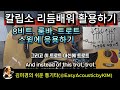 칼립소 보사노바 스타일/손으로 연주하는 칼립소 리듬 쉽게 배우기/  칼립소로 8비트. 트로트. 룸바. 스윙 곡에 활용하기