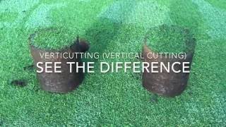 Vertical Mowing / Verticutting - See the Difference