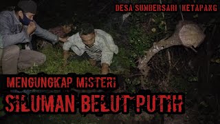 Download lagu MISTERI SILUMAN BELUT PUTIH PENUNGGU MATA AIR [penelusuran] #ketapang #lampungselatan #tapakjejak