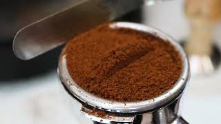 Salt City Coffee at the HoneyBee Café!