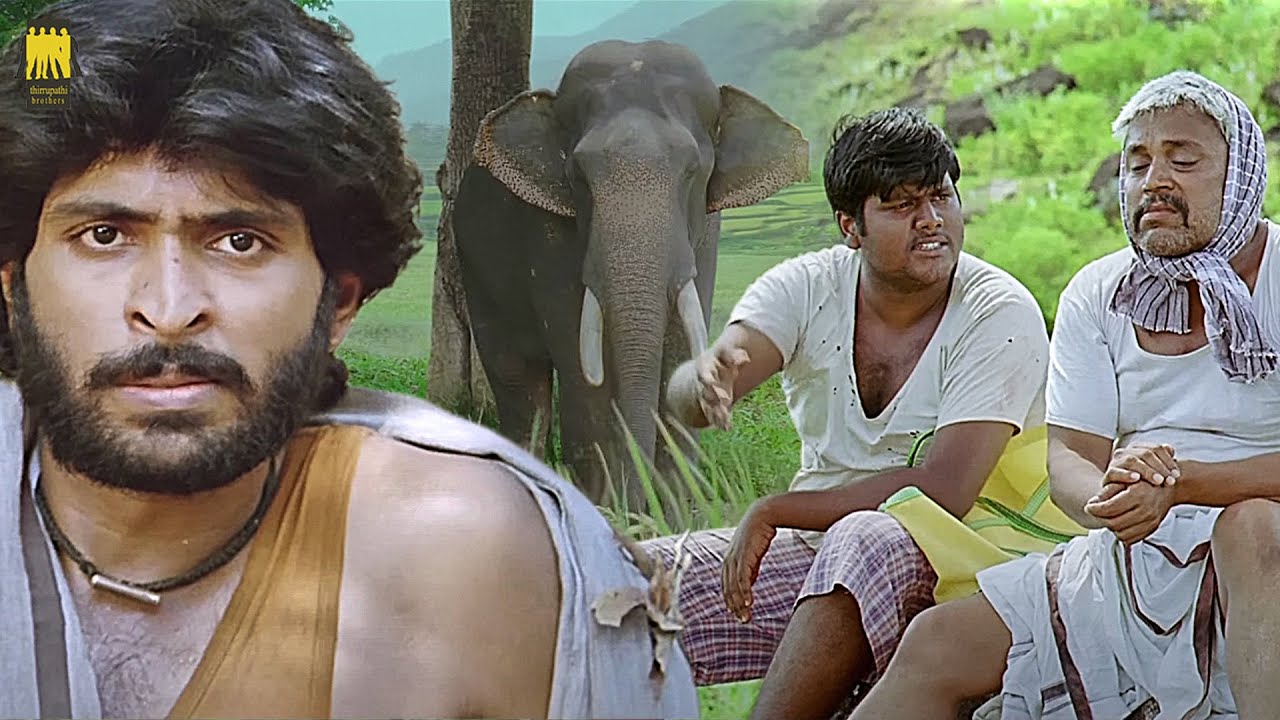 பித்து பிடிச்ச மாதிரி இருக்குண்ணே... | Kumki movie scene | Vikram Prabhu | Lakshmi Menon