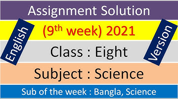 English Version Class 8 Science 9th week 2021 assignment solution