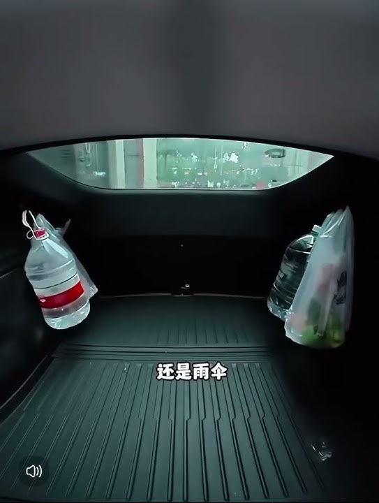 Trunk hooks for Model Y juniper 2026