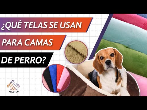 Video: Tela adecuada para hacer abrigos para perros