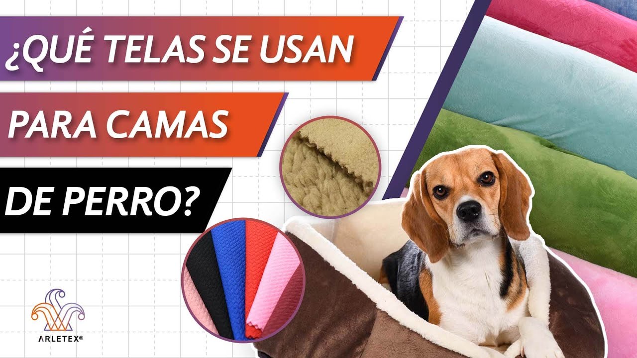 Cuanto cuesta un tac para perros