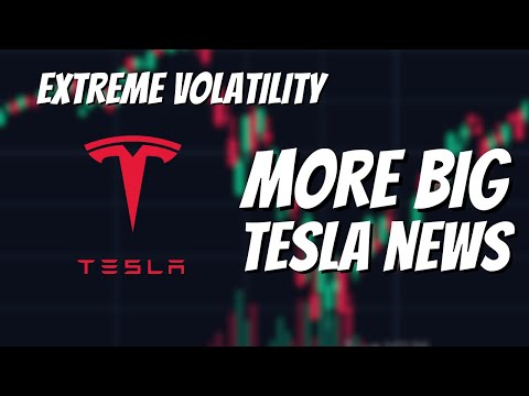 This is a Huge Moment for Tesla Stock.. (356% CTB Fee's)