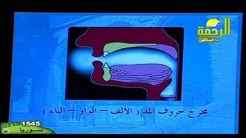 أحكام التجويد للشيخ أشرف عامر 11