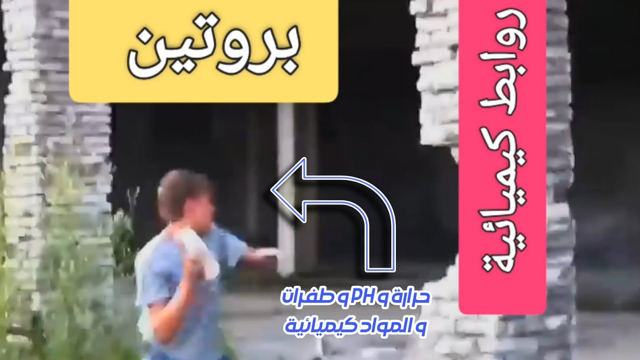 حل 10 تمارين متنوعة في الوحدة 2 العلاقة بين بنية البروتين و وظيفته.
