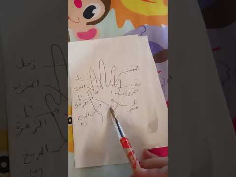 شرح مبسط لتلال الكف قراءة الكف بسهولة اشتركو يوصلكم الفيديو كامل قراءة الكف ابراج طالع