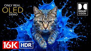 BEST OLED Display Test in 16K Dolby Vision HDR 120fps (4K & 8K Video ULTRA HD TVs)