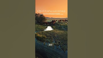 ووهبنا لداوود سليمان نعم العبد إنه أواب  #قرآن_كريم #سورة_ص #القارئ_وليد_هاني #Quran