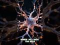 These 5 things shouldn’t be physically possible. But they are. Number 1 will break your brain
