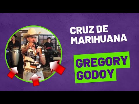Cruz De Marihuana ( En Vivo ) Gregory Godoy / Erick y Las Estrellas ⭐