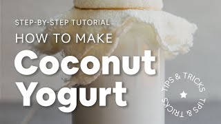How to Make Coconut Yogurt (Tips & Tricks) | Minimalist Baker Recipes