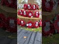 Remembrance Sunday wreaths 2025 #chard #chardsomerset #warmemorial #remembrancesunday #remembrance