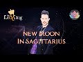 The Leo King New Moon In Sagittarius Astrology/Tarot Horoscope November 23 2022 All Signs Collective