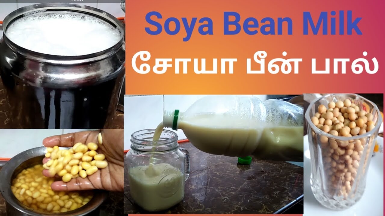 expository essay on how to make soya bean milk