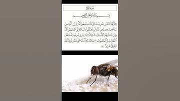 سورة الحج من الآية 73 إلى الآية 74 بصوت القارىء الشيخ سعد الغامدى