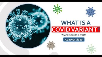 COVID Variant Explained. Why Omicron called 