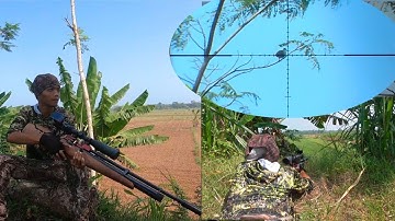 BERBURU TEKUKUR ‼️TIDAK DI DUGA ADA GARANGAN LEWAT DI JARAK DEKAT😤BIKIN ULAH LAGI✅ 
