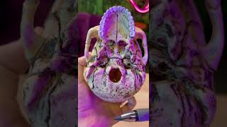 Base externa do crânio! #anatomia Base externa do crânio! #anatomia