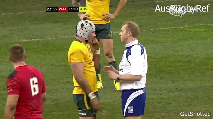Wayne Barnes Rugby Referee Tribute