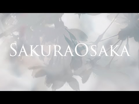 CALEDO メディアワークス