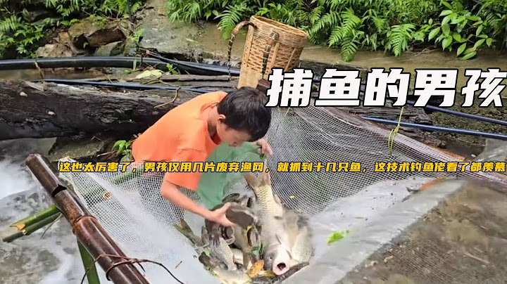 這也太厲害了，男孩僅用幾片廢棄漁網，就抓到十幾只魚，這技術釣魚佬看了都羨慕《捕魚的男孩》8
