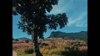 MP3.