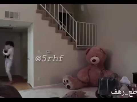 teddy-bear-scare-prank/must-see