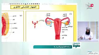 شرح تركيب الجهاز التناسلي في الإنسان  - علوم وبيئة للصف 12