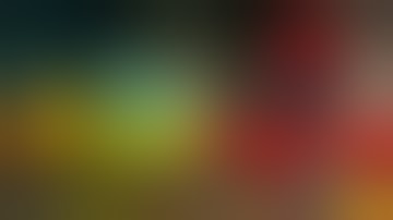 Ask for Sonic Characters