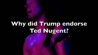 Ted Nugent a Pedophile?