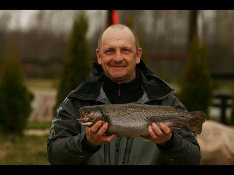 Платная рыбалка моторное