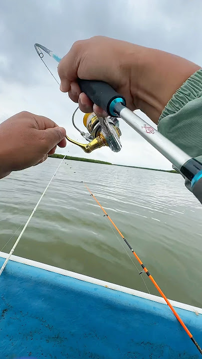 Wow!! The pull is incredibly steady, to the point where the rod almost broke #fishing #basic fish...
