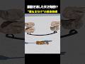 振動を消した天才発想!? 重ねるだけの革命技術