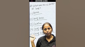 the leaf | By Shubhangi Ma