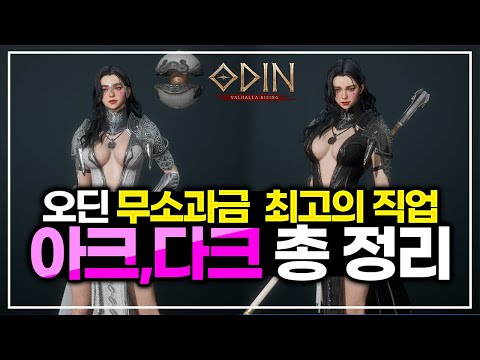 [오딘: 발할라 라이징] 오딘 무소과금 최고의 직업 아크메이지, 다크위저드 총 정리