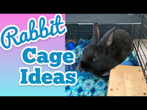 Video: Which Bunny Cage Is Best? ~ 56 Rabbit Cage Ideas
