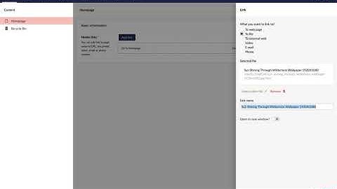 How to add link to document with Umbraco CMS "Link" component