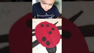Ladybug Math