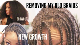 Taking Out 6 Week Old Braids+Blow Out