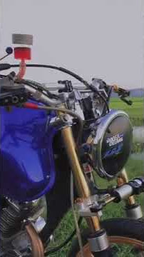 story wa Tiger Bintang Fortuna fyp tik tok