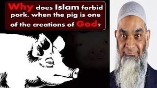 Why Did Allah Swt Create Pigs If They Are Haram? - Dr Shabir Ally