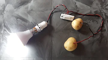 Free energy light bulb || using potato || potato experiment