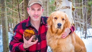 How to make Wild Harvested Chaga Coffee from the Forest in Canada | Medicinal Mushrooms