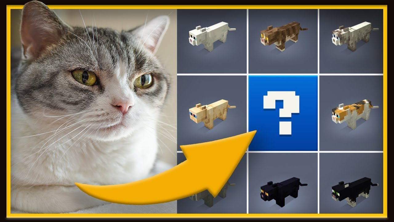 Rarest Cat Breed In Minecraft - Cat Meme Stock Pictures and Photos