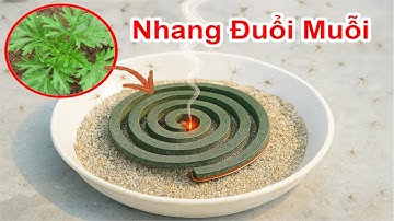 Cách Làm Nhang Đuổi Muỗi Thơm Phòng Từ Cây Ngãi Cứu / Chế Nhang Diệt Muỗi Ruồi Ra Khỏi Nhà Tự Nhiên