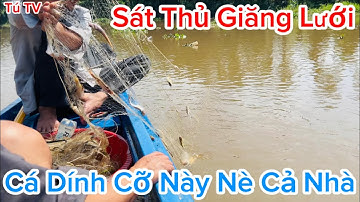 Tập 7 # Sát Thủ Giăng Lưới Bắt Cá Trên Sông | Cá Dính Cỡ Này Nè Cả Nhà | KHIẾP KHÔNG